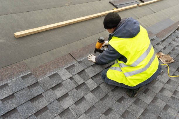 Best Roof Ventilation Installation  in Coloma, MI