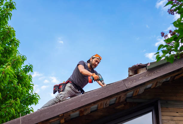 Best Roof Installation  in Coloma, MI