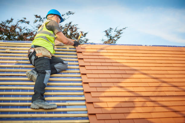Best Flat Roofing  in Coloma, MI